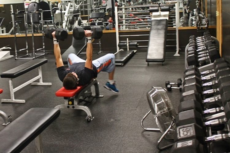 Down Under Fitness: 820 2nd St W, Havre, MT 59501